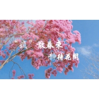 疫散終有時(shí)，春暖花自開-科明致敬每一個(gè)認(rèn)真防疫的東莞人